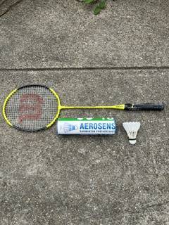 Badminton Racket and Shuttlecock 1
