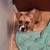 American bulldog mix puppy 6 thumbnail
