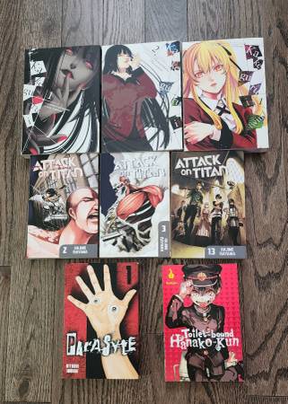 Anime Manga books 1