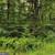 Building Lot Vacation Home 5 thumbnail