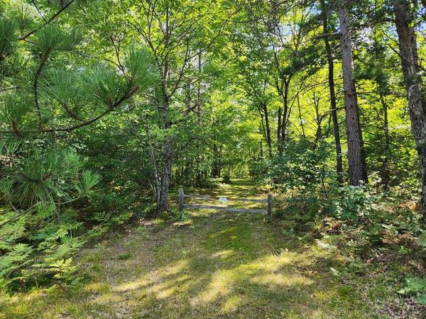 $69,900 10 Acres ¡Terreno impresionante! Par 2 Wilderness Trail, Luther64037896360705120