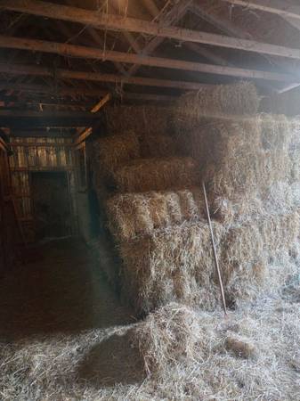 Hay for sale 1