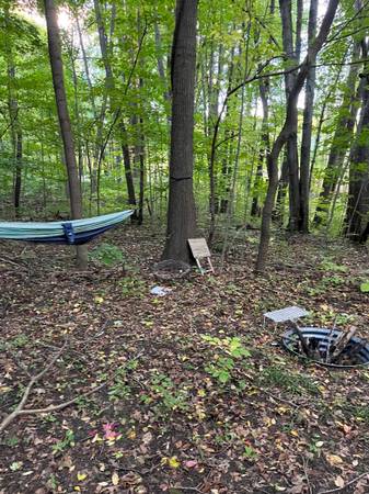 $1,950 Wooded Land by Indian Lake - Land Contract (Dowagiac)63660178673283121