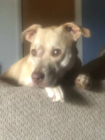Loki - mix63671605589379120