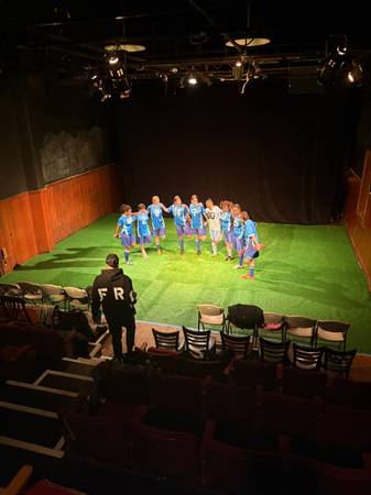 Almost New Astro Turf - ACCEPTING OFFERS 1