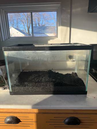 10 gallon aquarium 1