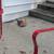 Pretty kittens 1 thumbnail