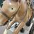 Vintage Sandy Horse 25 Cent Quarter Arcade Ride Coin-Op Carousel Ride 18 thumbnail