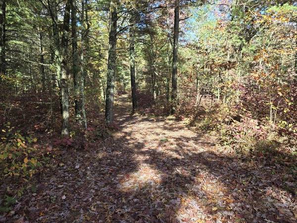 $55,000 4.5 Acres in Bitely MI!! (Bitely)64308163022595121