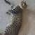 Tabby cat 1 thumbnail