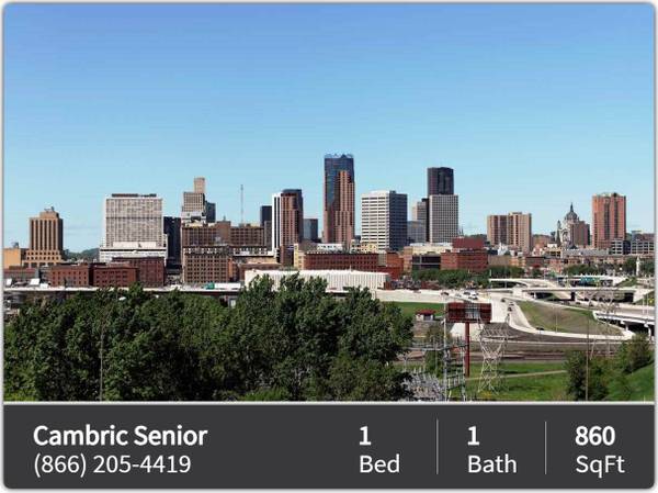 $1,347 / 1br - 860ft2 - Beautiful 1 bed / 1 bath located just minutes from local campus (Saint Paul - Near Downtown)64048423144833121