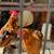 Roosters 3 thumbnail