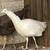 White peahen 7 months old 1 thumbnail