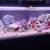 100 Gallon acrylic aquarium 3 thumbnail