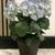 Life-like Artificial Potted Indoor Plant with Periwinkle Flowers 1 thumbnail