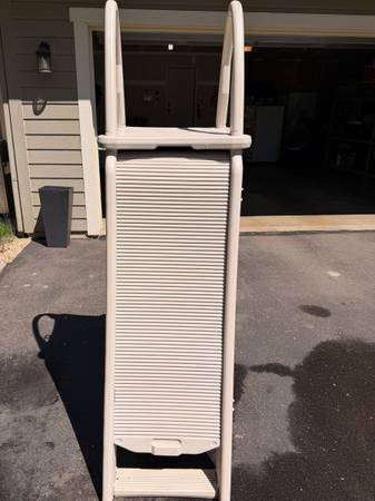Pool Ladder 1