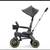 FIRM PRICE.   DooNA LIKI STROLLER and S3 Trike 2 thumbnail