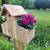Bird house planters 2 thumbnail