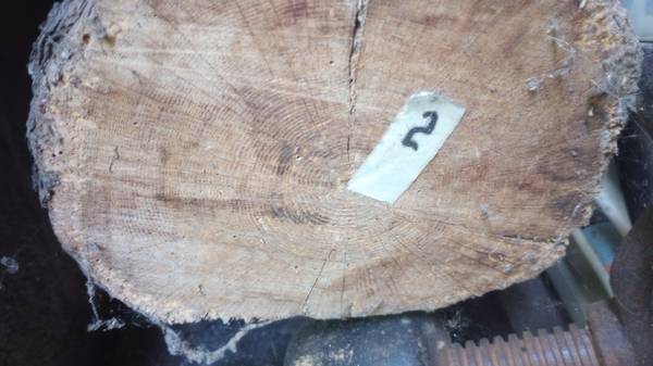 150 year old White Oak beam 1
