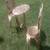 PATIO SET ,TABLE & 2 CHAIRS 6 thumbnail