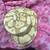 Banana dream ball python 2 thumbnail