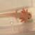 Baby Pink Axolotls / Baby Golden Albino 4 thumbnail