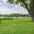 Gorgeous Remodeled 3 Bed, 1 Bath SFH in Urbandale 21 thumbnail