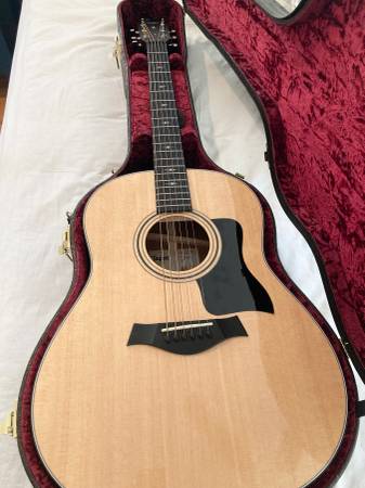 Taylor 317e Grand 1