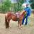 Pony 1 thumbnail