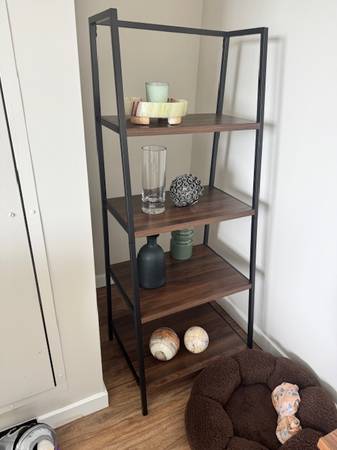 Book shelf 1