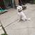 Standard Poodle - Adoption pendind. 2 thumbnail