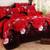 Firm Price! Brand New in a Package King Size Duvet Cover Set 4 thumbnail
