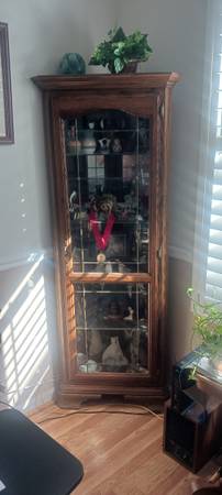 Corner Curio Cabinet with lights 1