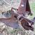 Antique farming tools 2 thumbnail
