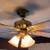 Hunter Coastal Breeze 42 Inch Ceiling Fan With Lights ~ 5 Blades 2 thumbnail