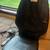 HOMEDICS SHIATSU BACK MASSAGING CHAIR CUSHION 2 thumbnail