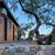 Escape the Heat! C.O.D. Ranch*Hike*Bike*Ride*Oracle State Park+Zipline 12 thumbnail