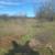 Clearing, mulching,treepulling, dirtwork. 14 thumbnail