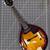 Mandolin with hardshell case and book 2 thumbnail