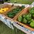 Elizabethton Farmers Market 6 thumbnail