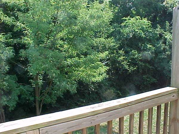 $1,495 / 2br - Donelson Townhome for rent near lake.  2/1.5 Bath (Nashville, Donelson , Hermitage)63680264000769124
