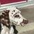 Dalmatian 2 thumbnail