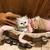 Persian kittens 3 thumbnail