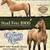 Stud Service: AQHA Buckskin stallion Frenchmans Guy and Corona Cartel 1 thumbnail
