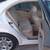 2003 MERCEDES E320 10 thumbnail