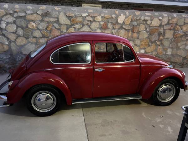 67 VW Bug 1
