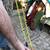 PADDLE wrist STRAPS coil 2 of em 1 thumbnail