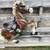 Vintage Plastic horses 5 thumbnail
