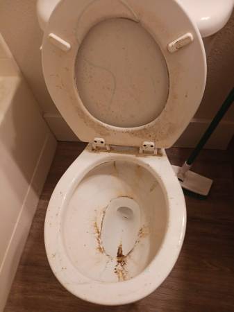 Melania's cleaning services 1