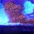 Orange oxides zoa's (Reef Aquarium) 3 thumbnail